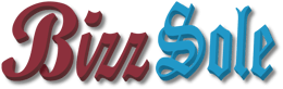 BizzSole logo